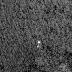 Foto des Landers whrend seines Abstiegs durch die Marsatmosphre